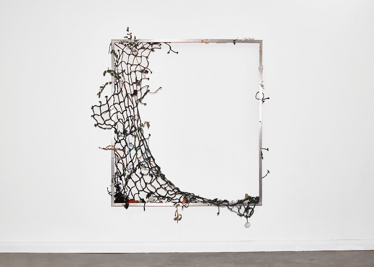 Portraits of Proteus