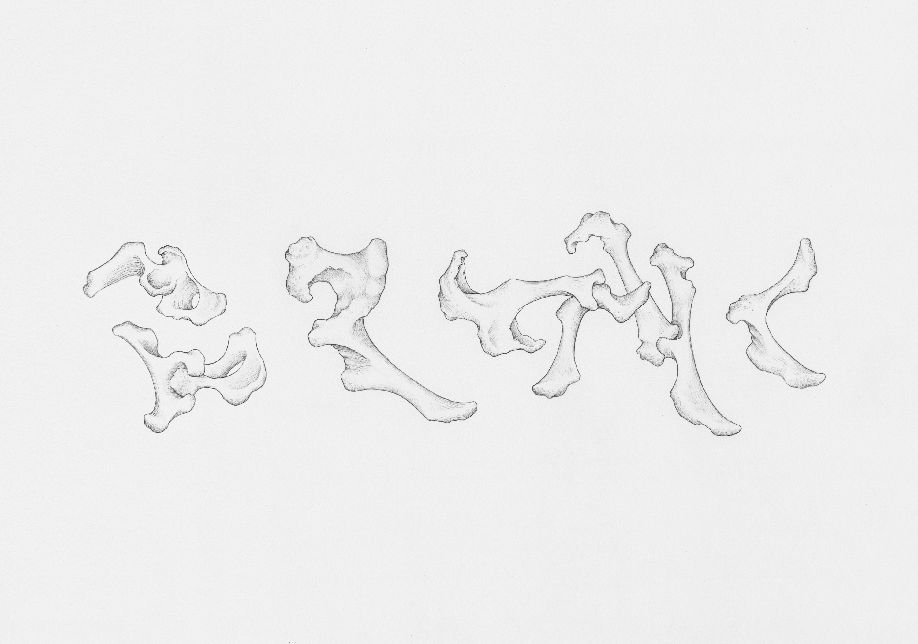 AR TICULATIONS